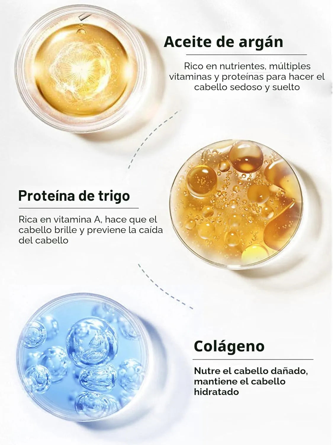 Encabezado